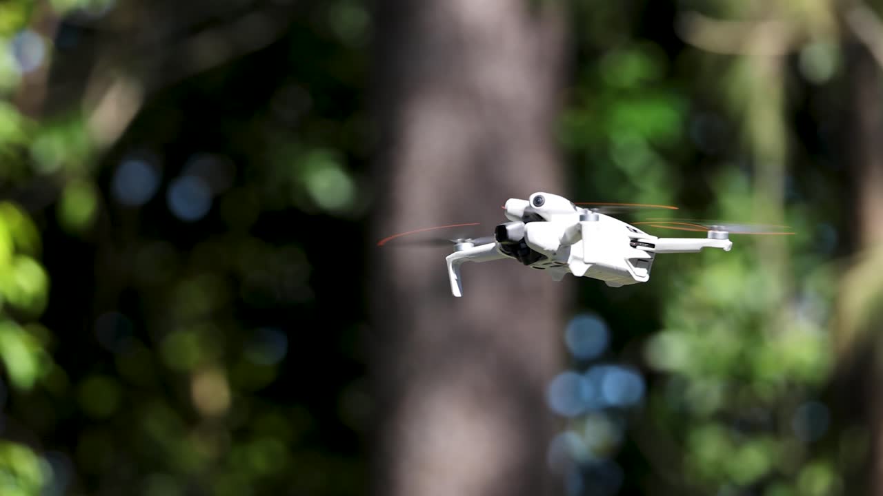 White quadcopter drone flying through sunlit forest with lush greenery and tall trees