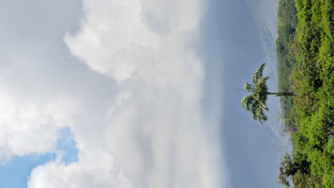 Palm-tree-blowing-in-wind,-cumulus-clouds-billow-around-Mount-Koghi,-Nouméa