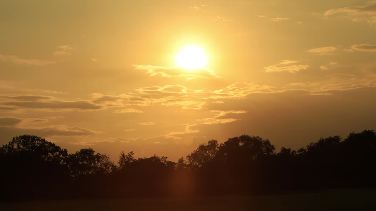 Time lapse of beautiful sunset over trees