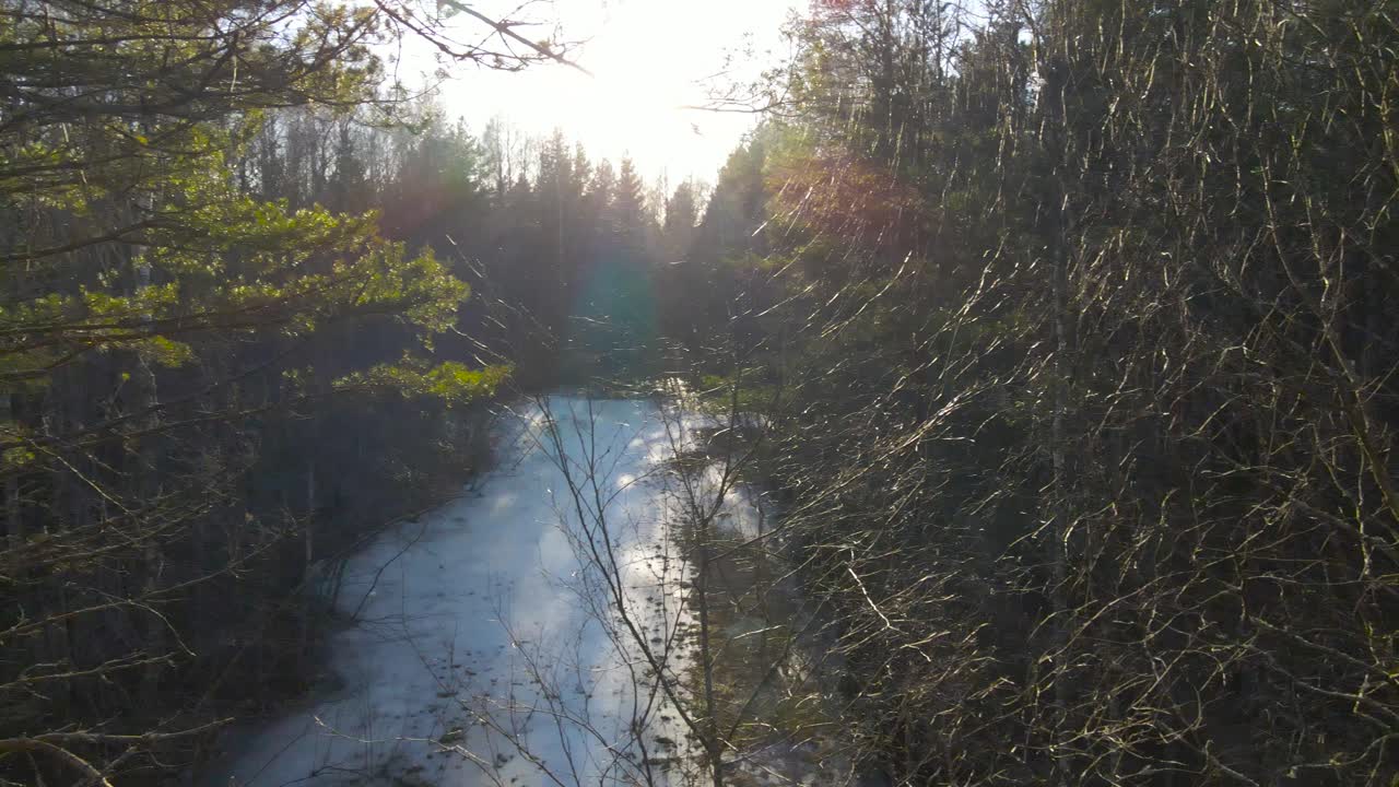 Aerial panning view from treetops over dense mixed forest with snowy path at Harku health trails. Morning dew reflecting on the branches. Between woodland ice cover on frozen pond, sun flare on trees