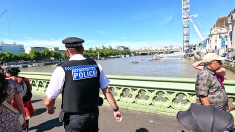 crowds and police on westminster bridge, london