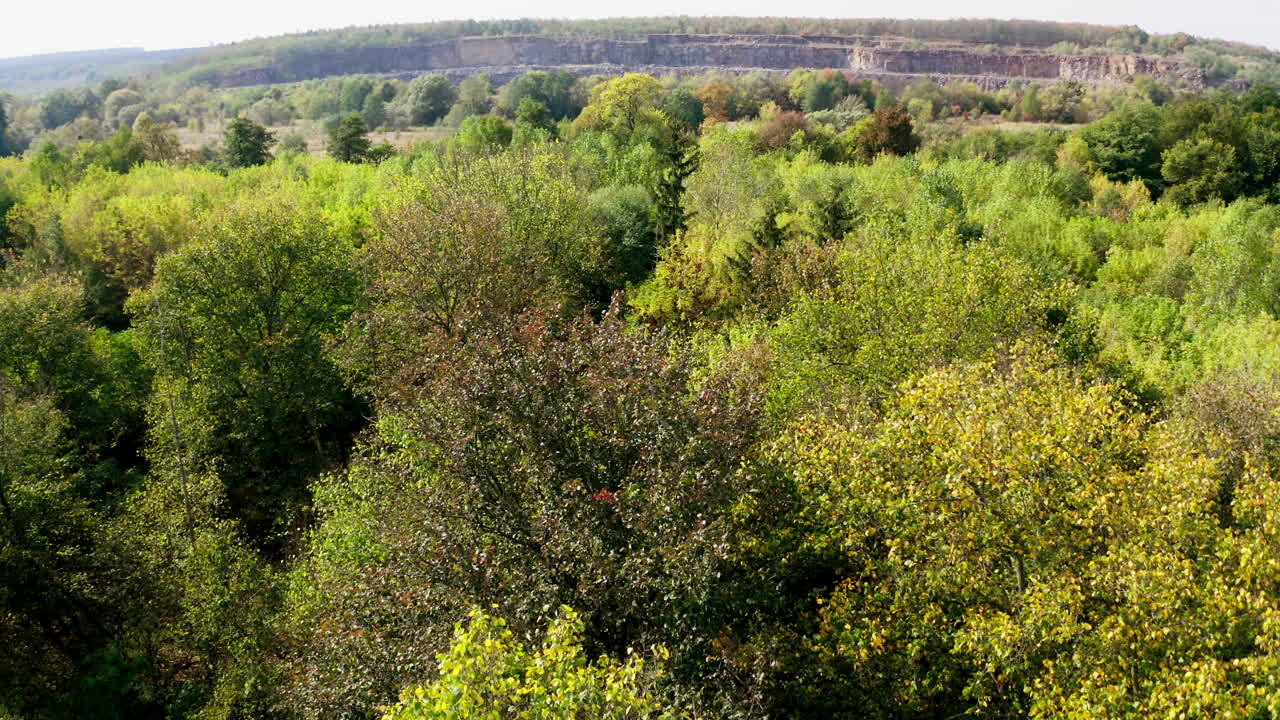 Beautiful forest in autumn. Deciduous trees on rocky canyon background. Flight over the top of colorful trees. Slow motion. Aerial view.