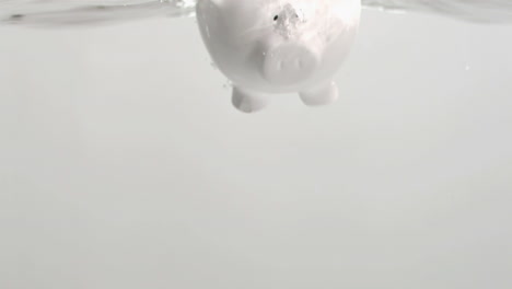 Piggybank-diving-in-super-slow-motion-in-water-