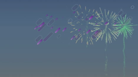 animation loop of purple search icons moving and fireworks display exploding on abstract background