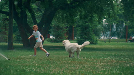 playful dog chasing little boy play together water sprinklers in summer park.