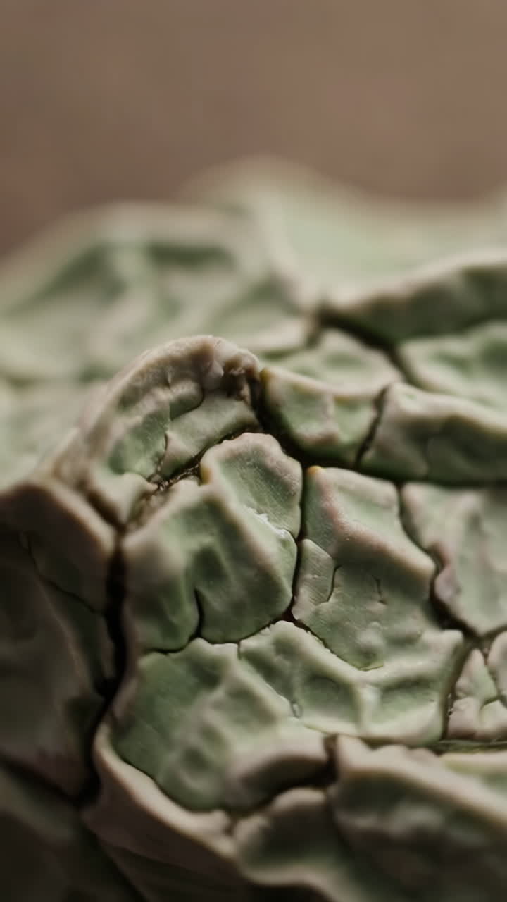 Macro Close-up of Wrinkled Green Organic Texture