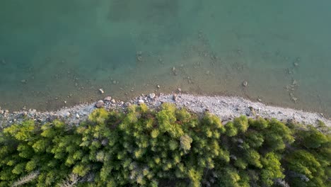 Aerial-topdown-view-of-forested-coastline-and-lake,-Michigan