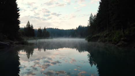 Majestic-Scenery-Of-Lake-And-Forest-Landscape-In-Caumasee-Switzerland---moving-aerial-shot