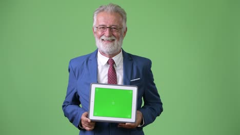 handsome senior bearded businessman against green background