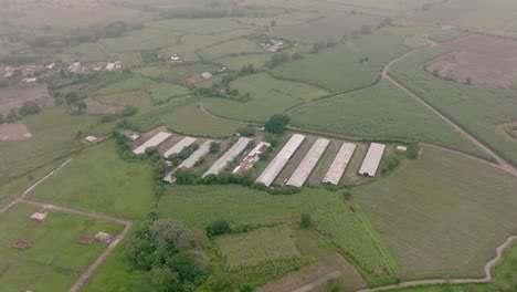 Wide-aerial-footage-in-the-countryside-of-Cali,-Colombia-of-livestock-houses