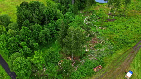 Deforestation,-land-with-cut-trees,-top-down-aerial-view-nature-disaster