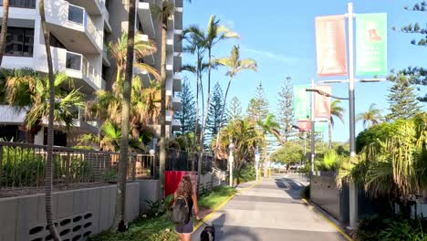 a walk through a sunny, palm tree-lined boulevard