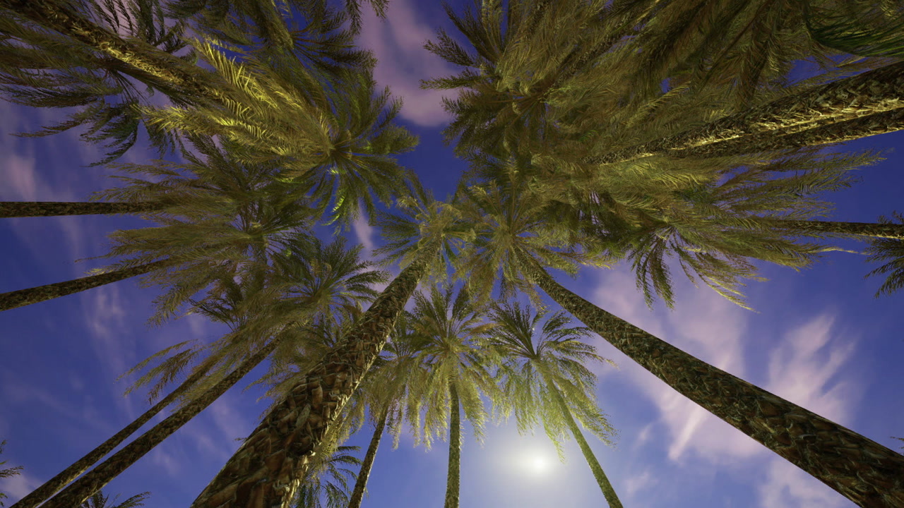 Gentle breezes and shimmering lights create peaceful seaside scene