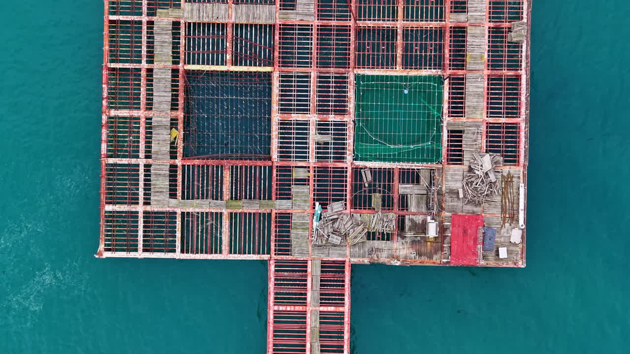 Mussel farm structure in the sea with harvesting activities and workers during daylight hours