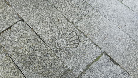 scallop shell symbol of portuguese pilgrimage to santiago de compostela