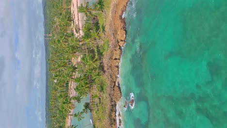 Aerial-orbit-shot-of-tropical-island-with-palm-trees-and-rocky-coastline-during-sunny-day---Clear-Caribbean-Sea-water-at-Playa-Los-Coquitos---Vertical-shot