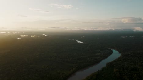 vista of tropical river amidst dense forestland during sunrise in ecuador