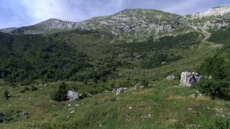 Alm-In-Slowenien-Triglav-Nationalpark,-Frühsommer-Breite-Statische