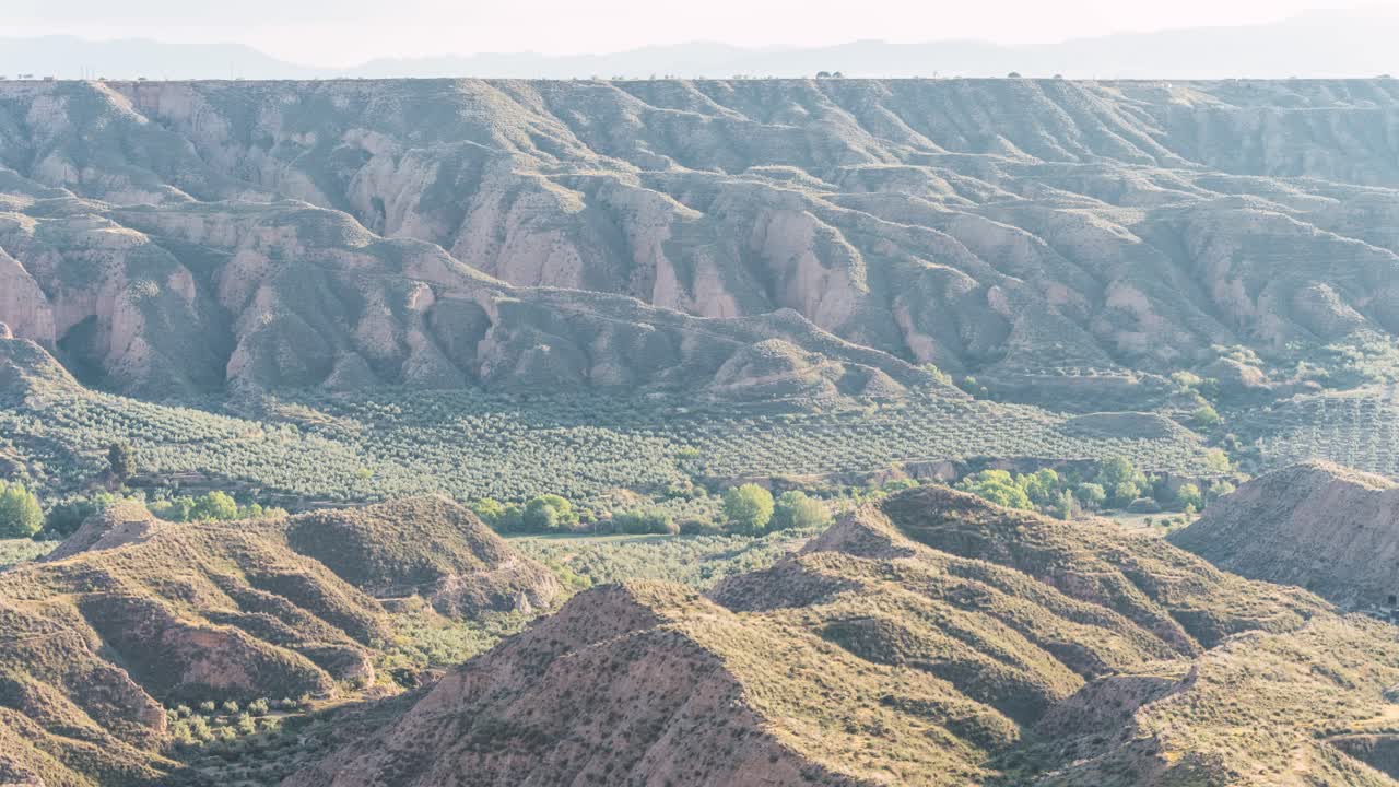 Olive groves and rocky hills in Gorafe desert terrain