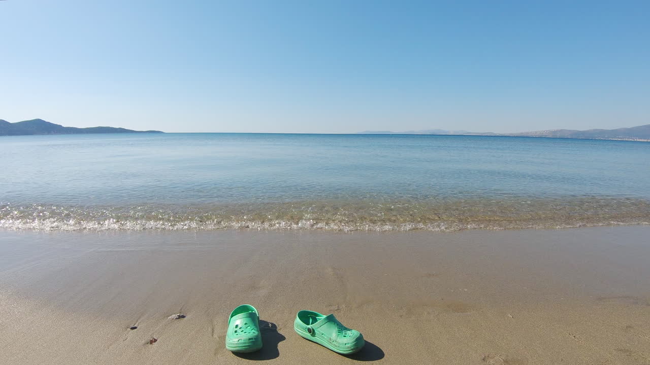 화창한 날 모래 해변에서 파도에 의해 뽑힌 녹색 악어, 슬로모