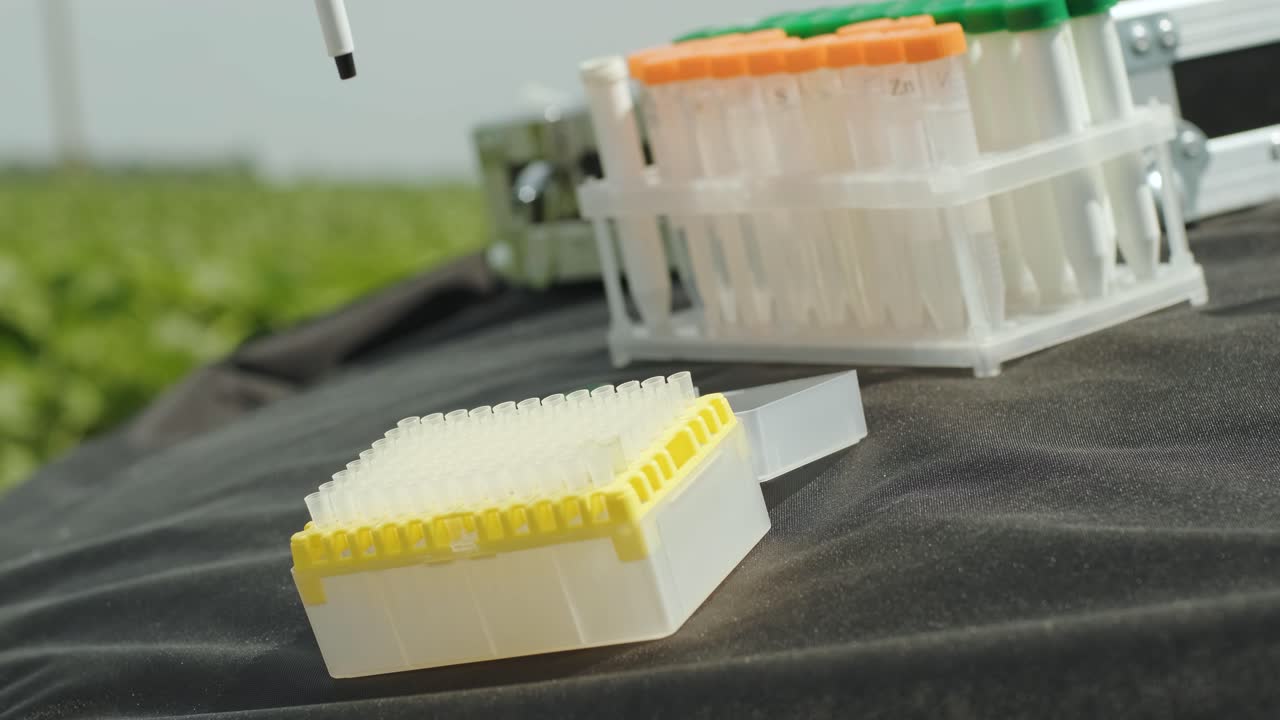 Laboratory worker holding professional glassware and testing plant sprouts before harvest in the field.