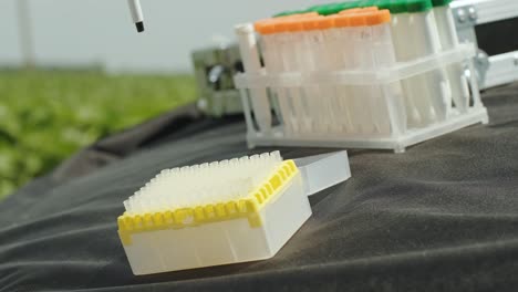 trabajador de laboratorio que sostiene artículos de vidrio profesionales y prueba brotes de plantas antes de la cosecha en el campo.