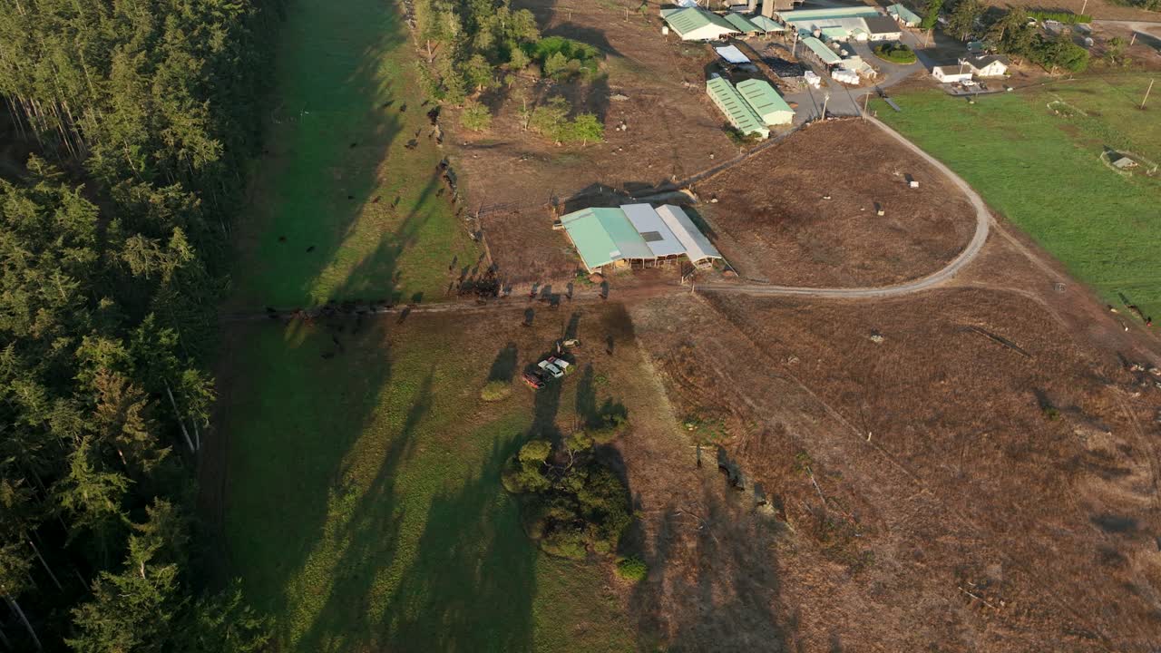 vista aérea en órbita de una granja lechera privada en whidbey island, washington