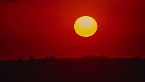 El-Sol-Circular-Al-Atardecer-Baja-Al-Horizonte,-Fondo-Naranja,-Horizonte-De-árboles-De-Pradera-Y-Nubes,-Toma-De-Lapso-De-Tiempo,-Colores-Degradados-De-Fuego