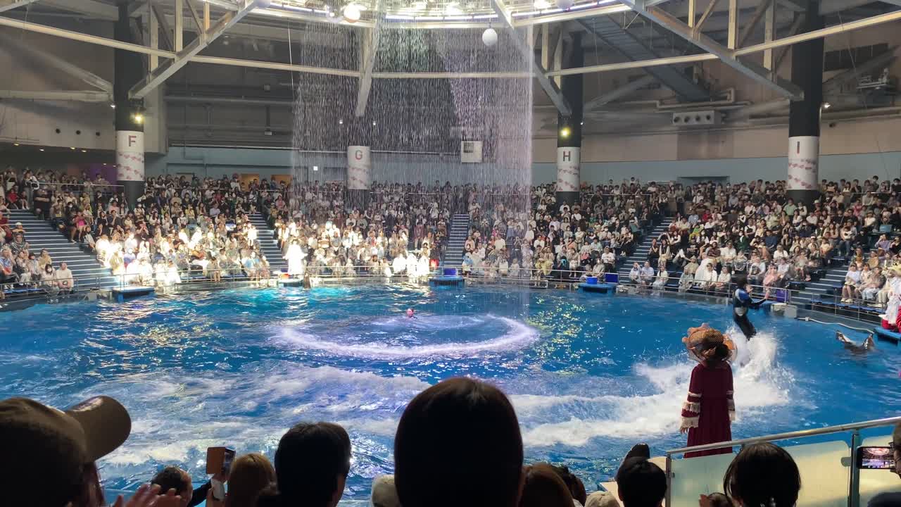 Dolphin show at Maxell Aqua Park Shinagawa, Tokyo, Japan