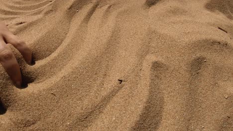 una mano haciendo patrones de arena en una playa