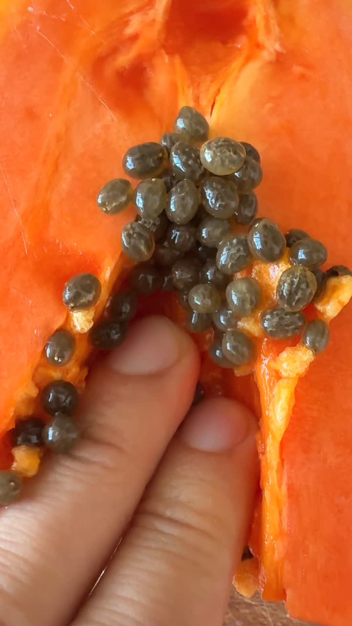 Close-up of Hand Interacting with Papaya Seeds