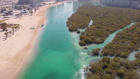 Beautiful-scene-from-mangroves-and-Al-Reems-recreational-space