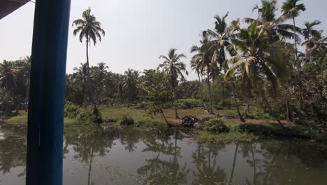 Tropical-vegetation-on-Alappuzha-traditional-houseboat-moored-on-shore,-view-from-boat