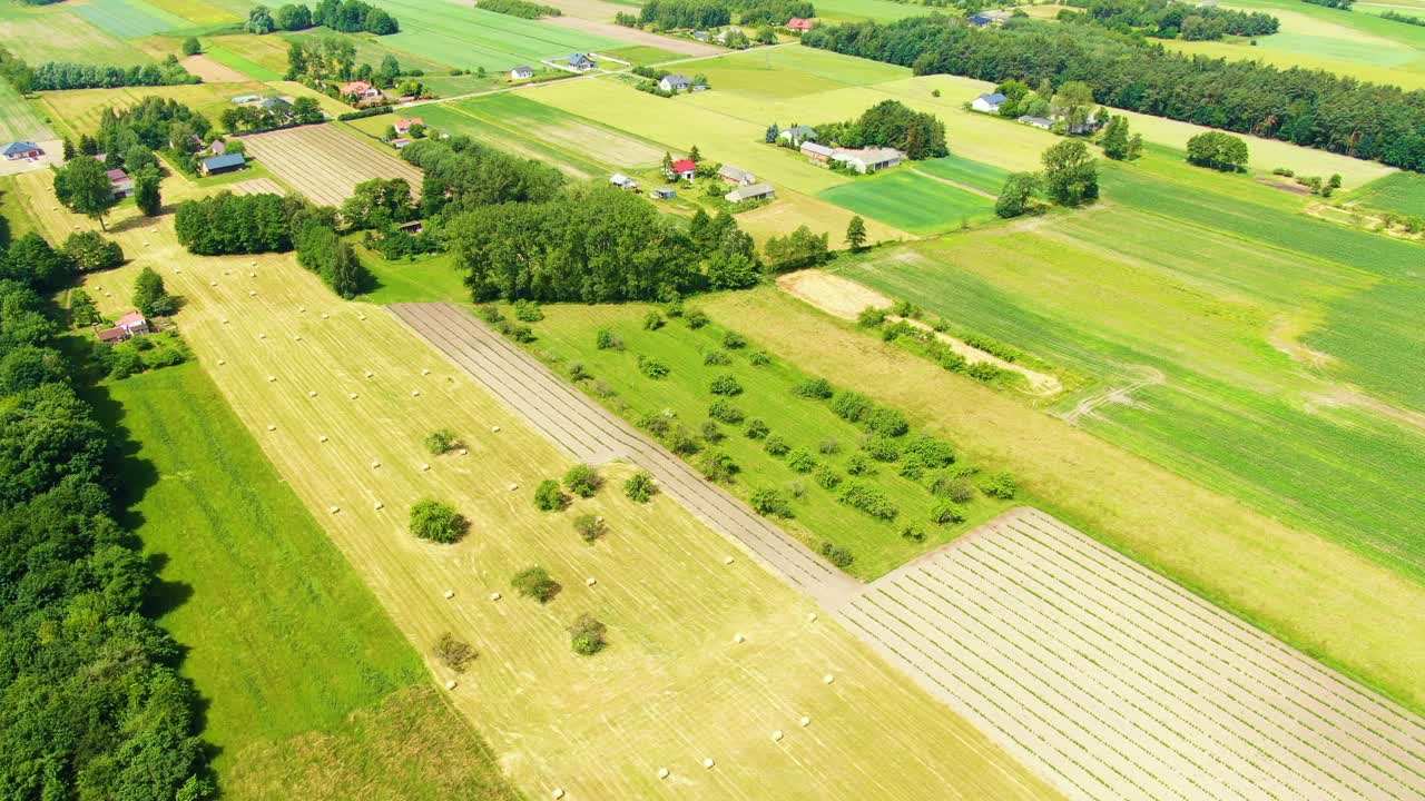 일출에 야생의 마을 들판과 숲
