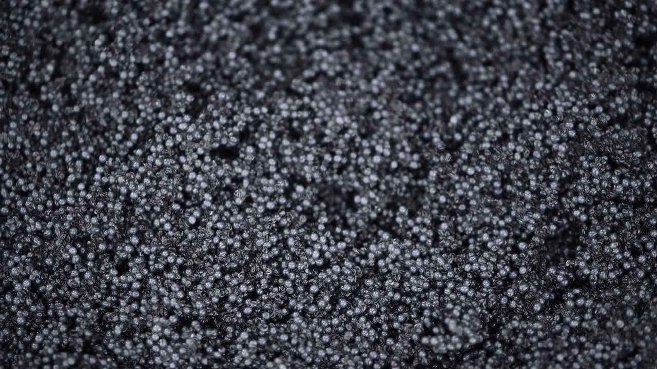 시무스 루프로 회전하는 검은 카비아르 (close-up)
