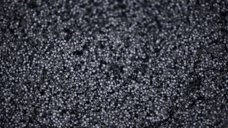 seamless loopable rotating black caviar (close-up)