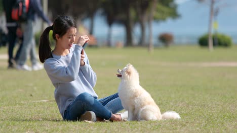 woman and dog