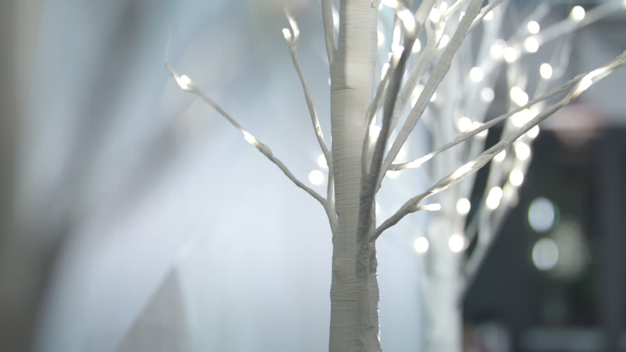 A second white tree decorated with white Christmas lights is placed inline of a home for the holidays