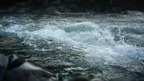 bergfluss, der auf steinernen stromschnellen fließt, stromfluss, der an einem sommertag tobt.