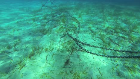 filming the anchor while diving