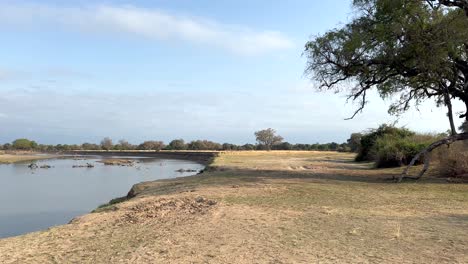 vista panorámica de las orillas del río luangwa en el parque nacional de luangwa del sur. zambia.