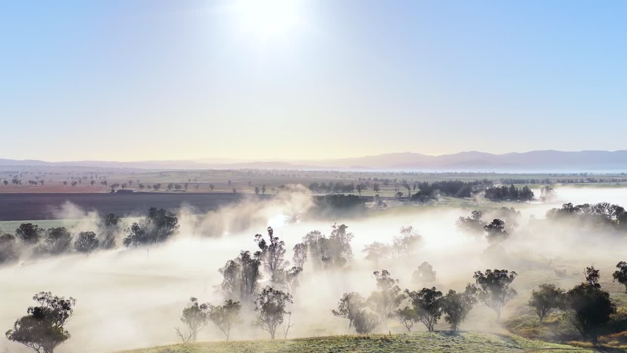 Drone camera glides above mist-covered rural hills and scattered trees at sunrise, capturing tranquil morning light and atmospheric fog in Tamworth, New South Wales