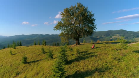 musician with cello in the mountains. beautiful green nature background under the blue sky. female artist performing music under the green tree. aerial view.