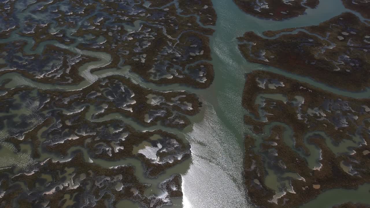 ролик с изображением болот на закате с отражением солнца на воде