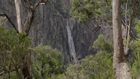 Hand-held-shot-of-Walking-track-at-Wollomombi-Falls,-Oxley-Wild-Rivers-National-Park,-New-South-Wales,-Australia