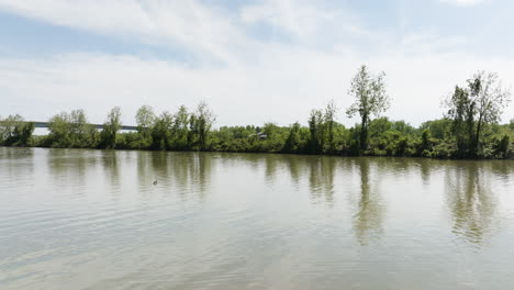 tranquil waters of arkansas river with green trees in daytime