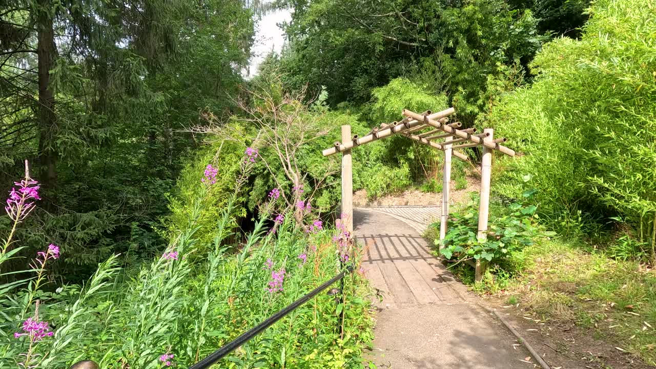 Camera moves steadily along a sunlit garden path toward a wooden bamboo arch, surrounded by dense greenery and blooming wildflowers in a tranquil outdoor setting