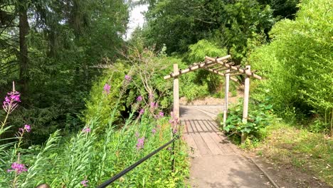 camera moves steadily along a sunlit garden path toward a wooden bamboo arch, surrounded by dense greenery and blooming wildflowers in a tranquil outdoor setting