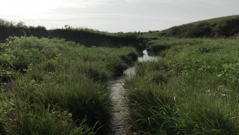 a small, quiet and calm trickling stream runs through a green prairie field surrounded by grass and hills on a warm sunny day in the flint hills of kansas