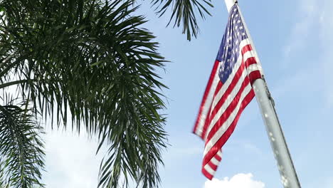 american flag on a flag pole and a palm tree on blue sky